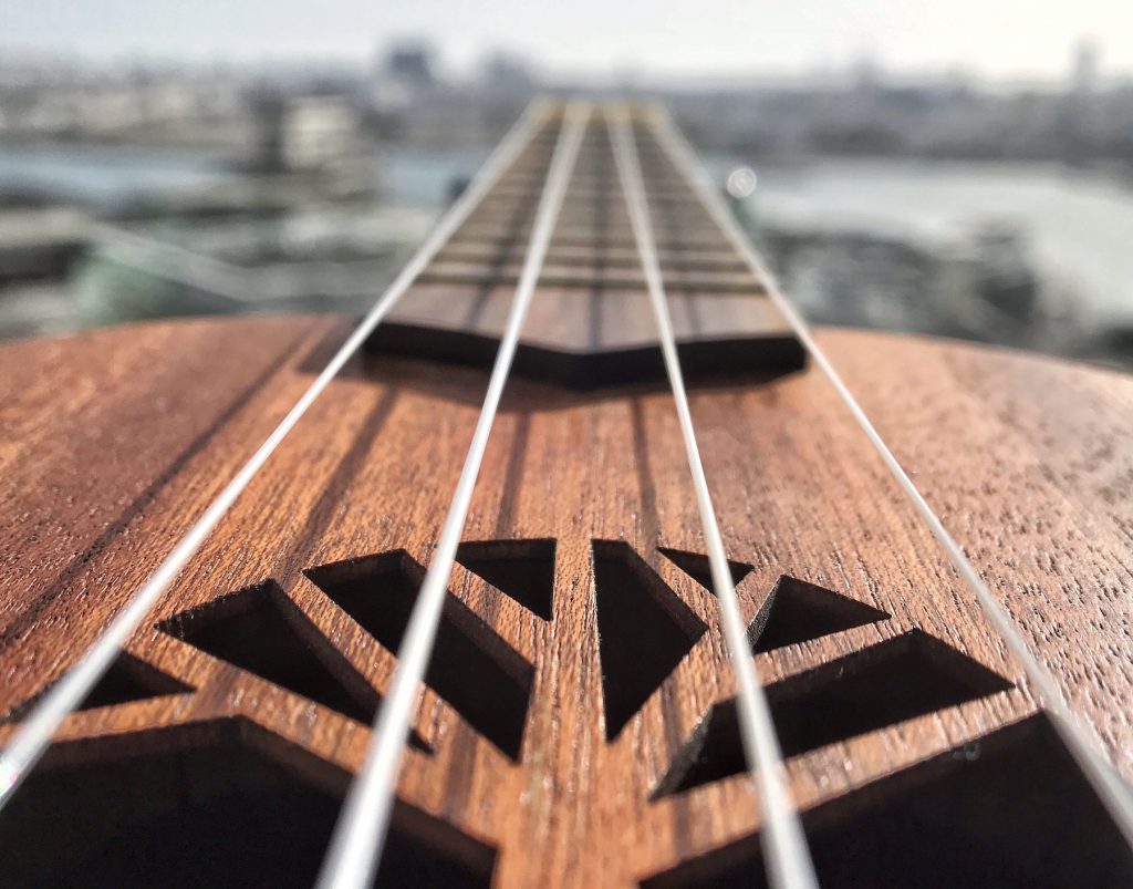 closeup strings of ukulele