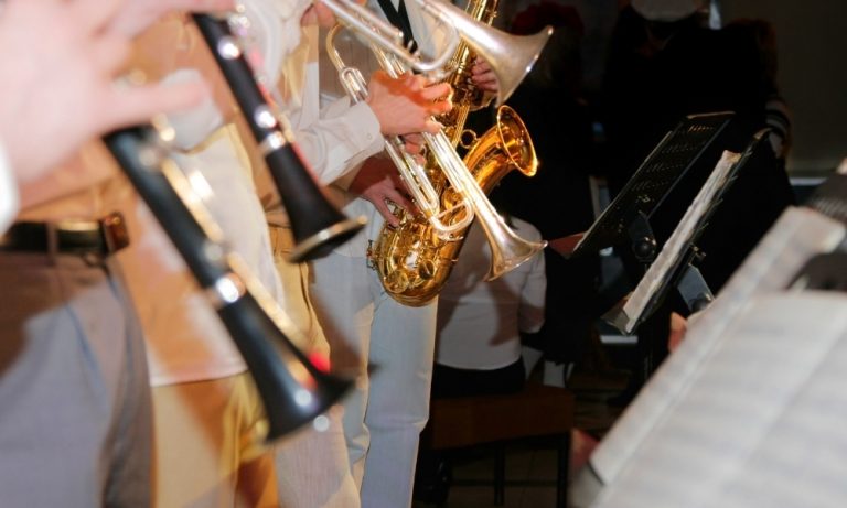 Beginner Instruments Vs Professional Music Instruments Guide